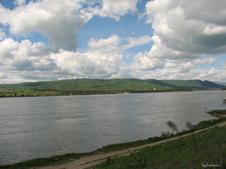 Dunărea poluată cu produse petroliere, în zona portului Drobeta Turnu Severin