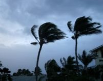 Uraganul Hana a făcut ravagii în Haiti. 500 de persoane au murit