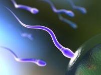Studiu: Bărbaţii inteligenţi produc spermă de calitate superioară