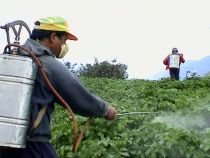 Europarlamentarii au votat pentru un control mai strict al pesticidelor

