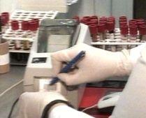 Gripa porcină se extinde: Noi cazuri, confirmate în Danemarca şi Hong Kong. Află cel mai recent bilanţ