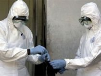 Primul caz de gripă porcină, confirmat în Republica Moldova