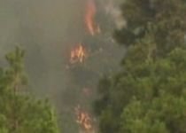Incendiile puternice fac prăpăd în mai multe zone ale lumii (VIDEO)
