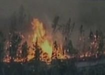 Autorităţile californiene: Incendiul din Los Padres, provocat de cultivatorii de marijuana
