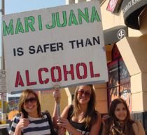 California va vota pentru legalizarea marijuanei
