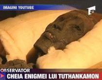 Enigma lui Tutankhamon dezlegată: "Faraonul copil" a murit de malarie