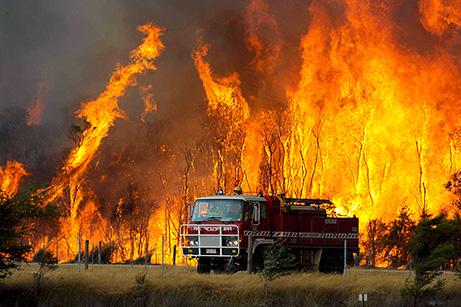 Australia. Incendiile de vegetaţie au distrus zeci de case