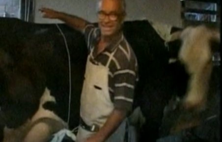 Neştiind că stă la oraş, un pensionar a luat amendă pentru că şi-a scos vaca la plimbare pe drum