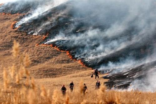 Dezastru natural din inconştienţa românilor. Sute de hectare de vegetaţie şi o pădure de pin, distruse de flăcări