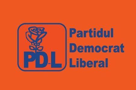 Candidaţi PDL - alegeri locale 2012