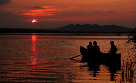 Pescuitul şi vânătoarea &quot;raţional reglementată&quot;, permise în Delta Dunării