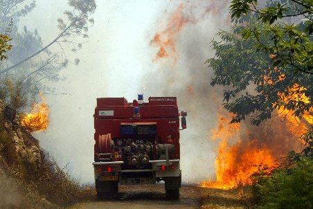 Incendiu puternic în Vaslui. 8,4 hectare de pădure de foioase şi conifere, cuprinse de flăcări