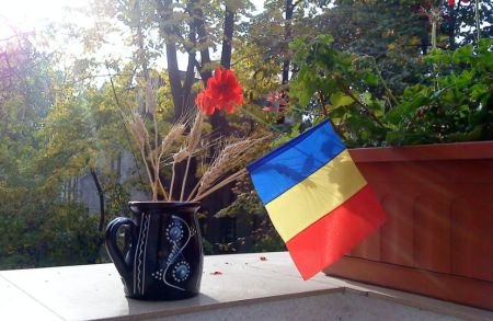 &quot;Nu-mi este ruşine că sunt româncă, ba chiar o spun tare şi cu fruntea sus&quot;. Peste 4.000 de români s-au alăturat campaniei &quot;Pe tricolor e scris UNIRE&quot; 