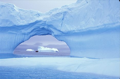 Descoperirea din Antarctica ce oferă o fereastră în trecut. &quot;Au supravieţuit 34 de MILIOANE de ani. E uimitor&quot;
