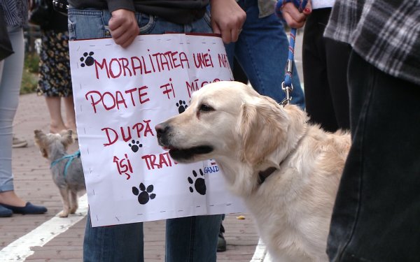 Protest la Milano faţă de legea eutanasierii maidanezilor, în faţa Consulatului României