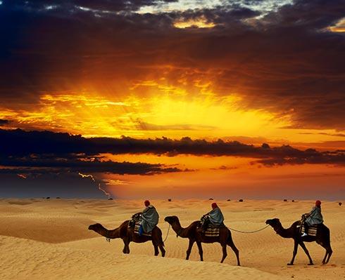 Distratie si jeep safari pe nisipurile desertice ale Saharei