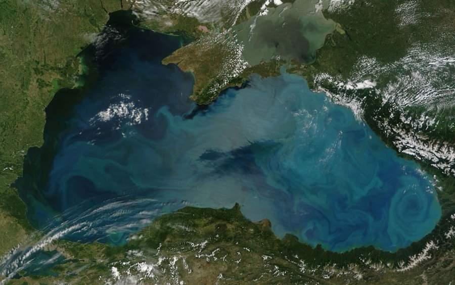 Bloom-of-phytoplankton-in-the-Black-Sea.jpg