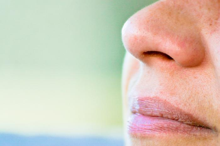 close-up-picture-of-a-nose.jpg