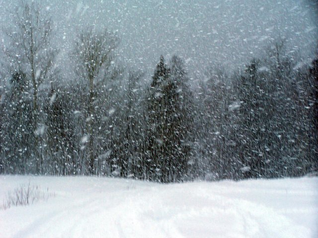 snowstorm-1359458-640x480.jpg