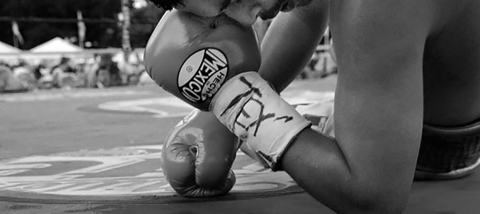 boxer-1430490_1280.jpg