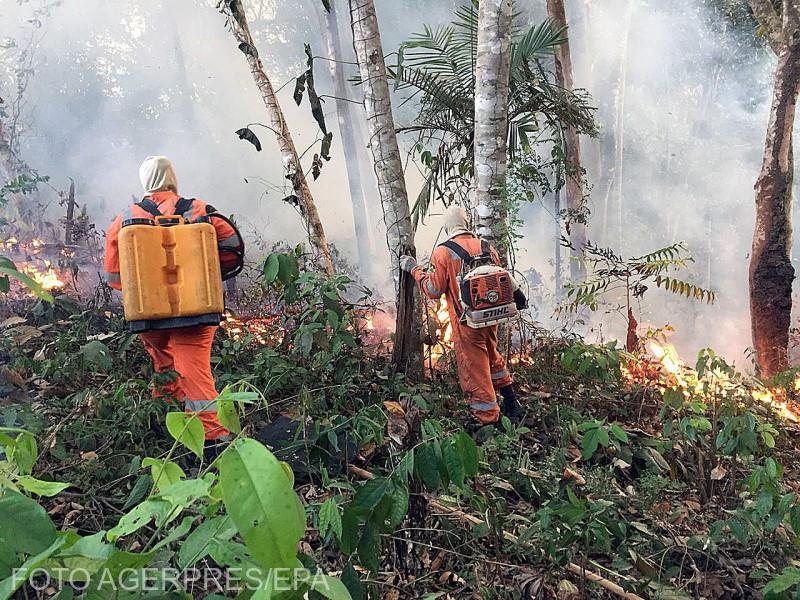 Cum afectează incendiul din Pădurea Amazoniană economia României