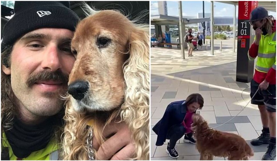 Un manipulator de bagaje și un câine, virali pe internet. Gestul care a topit inimile oamenilor
