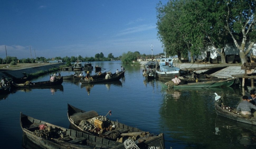 Obligații noi pentru pescarii comerciali din Delta Dunării: Condițiile impuse celor cu permis de pescuit