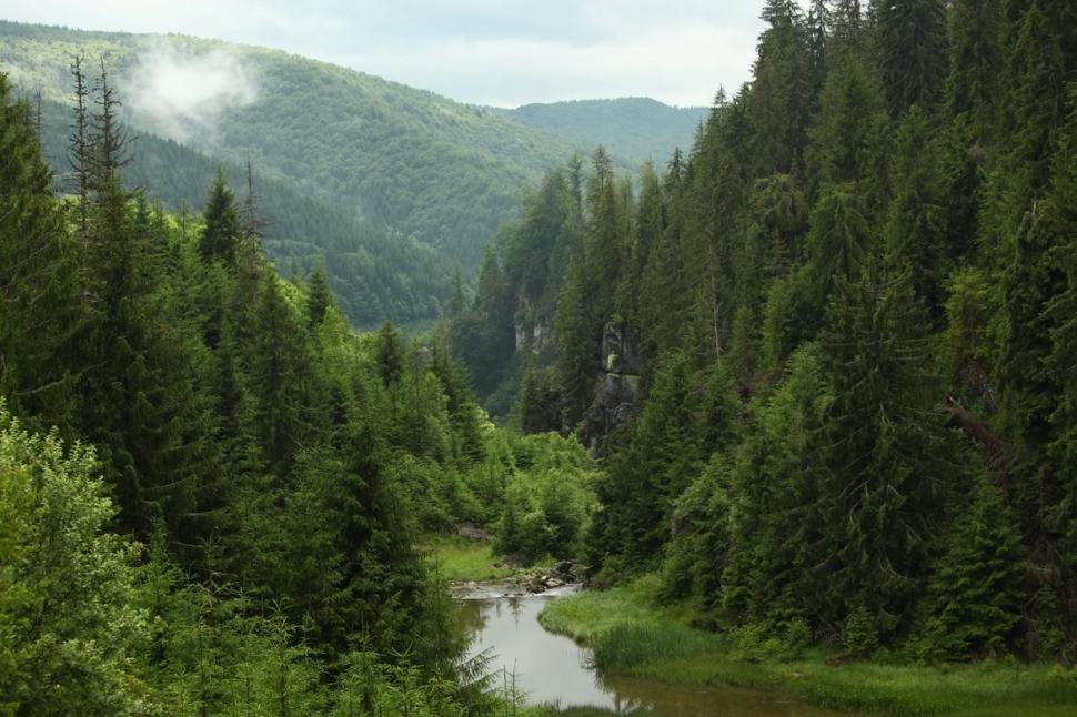 noua statiune dambovita