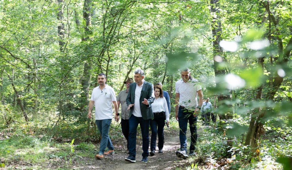 Marcel Ciolacu, vizită în Pădurea Balotești: ”Trebuie să ne asigurăm că poluarea nu ne sufocă”. Premierul se alătură inițiativei “Împreună pentru Centura Verde”