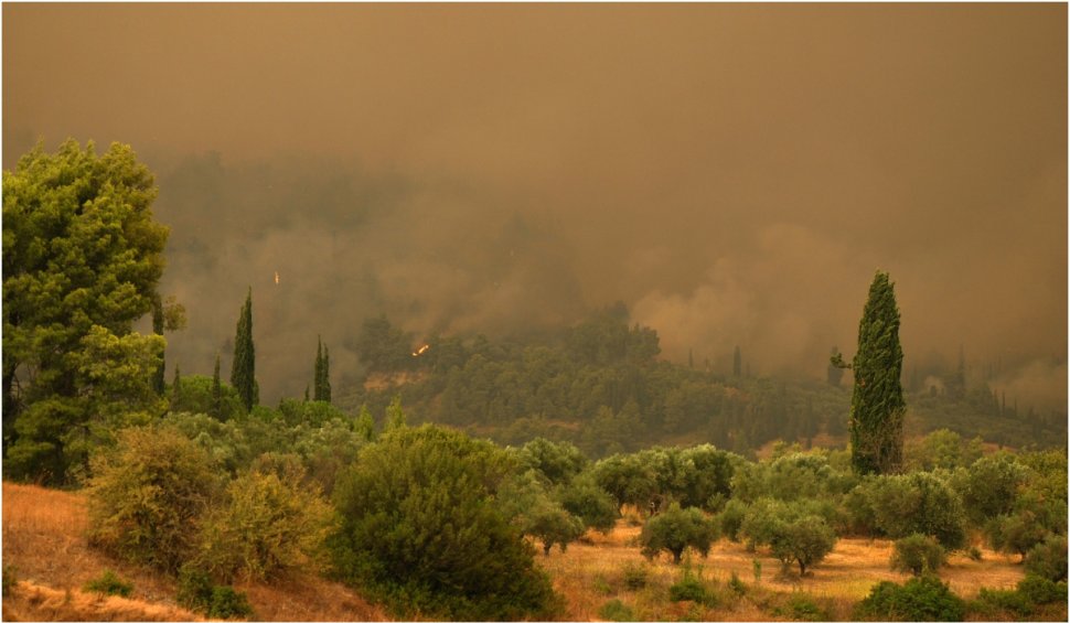 Artificiile de pe un iaht au declanșat un incendiu de pădure pe insula grecească Hydra 