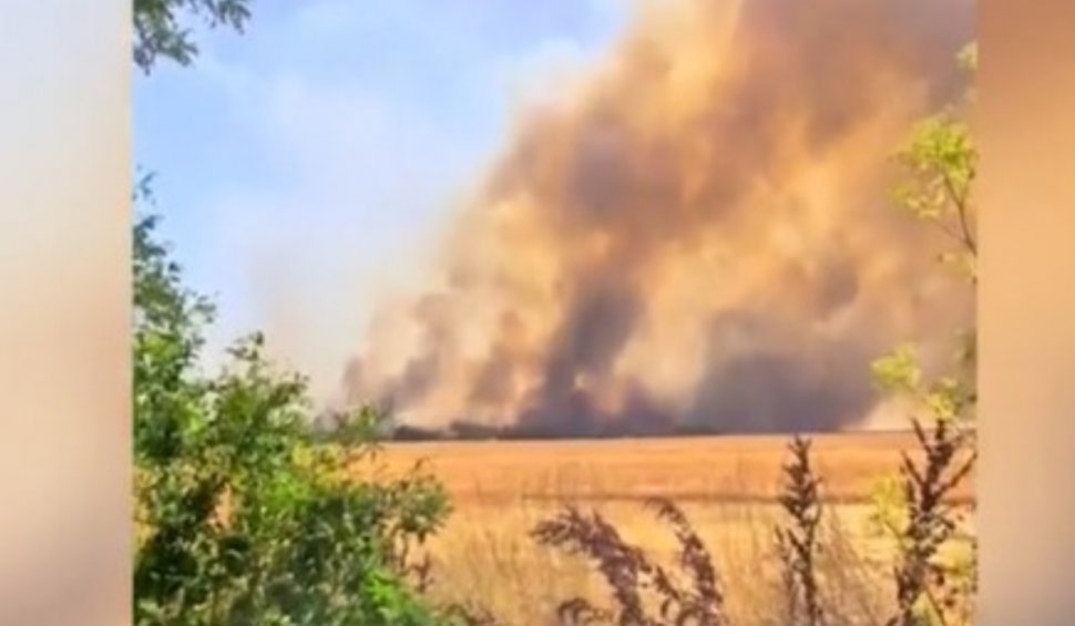 Incendiu de proporții în Dâmbovița. Ard zeci de hectare de grâu