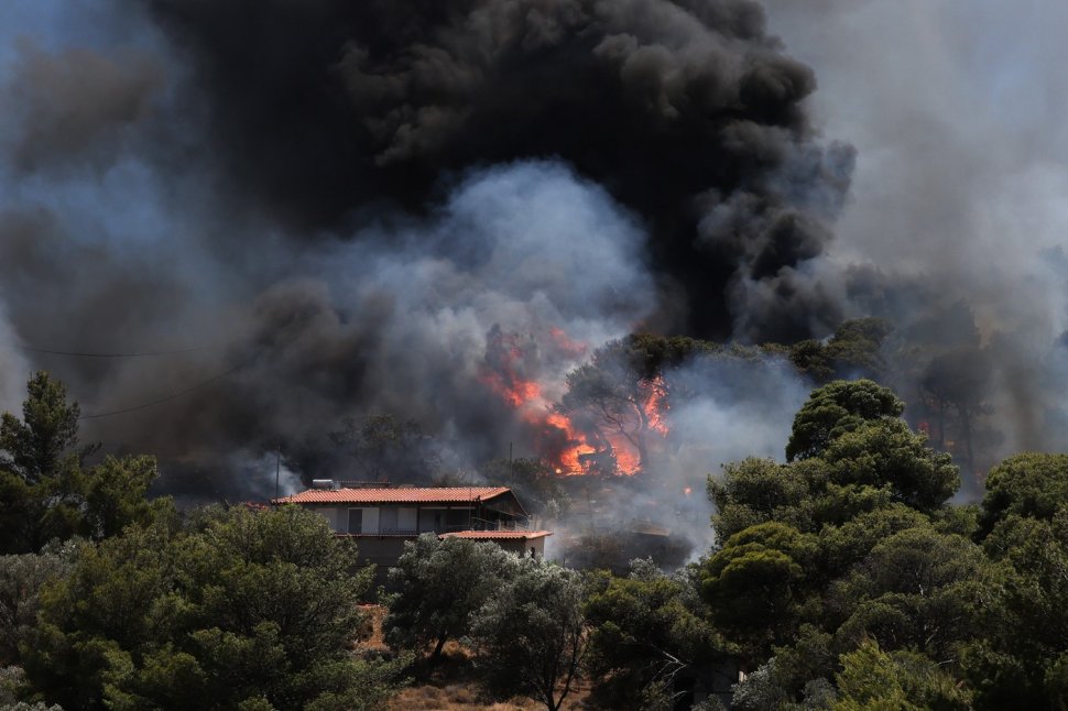 grecia incendii vegetatie profimedia