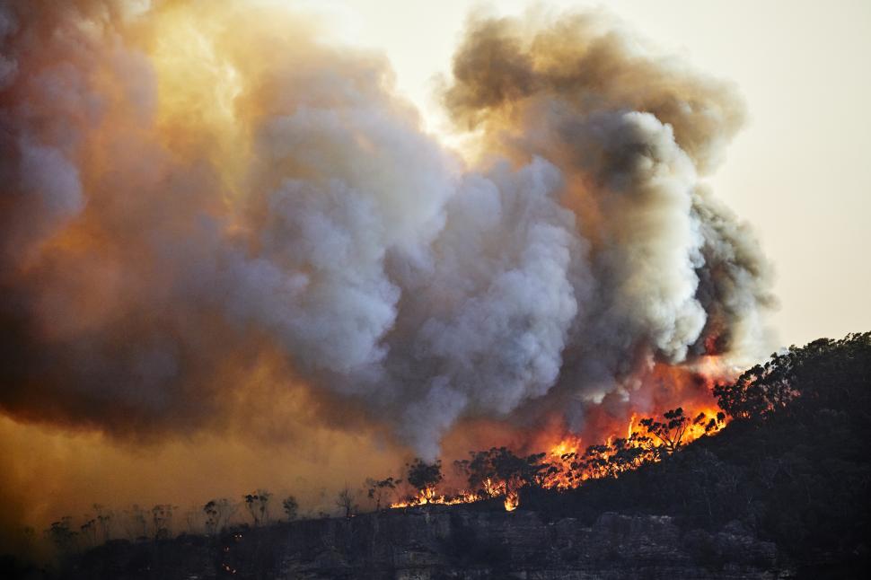 degajari fum incendiu vegetatie getty images