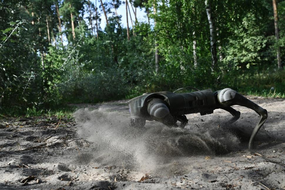 caini roboti front ucraina profimedia images