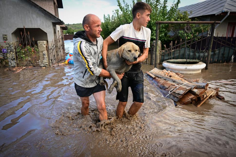 Oameni salveaz? un câine de la inunda?iile din Gala?i