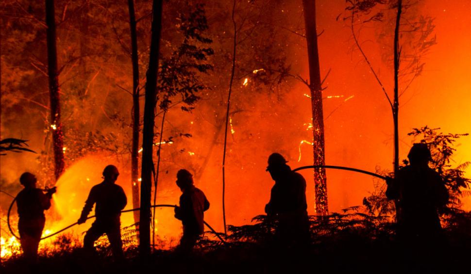 incendiu vegetatie portugalia