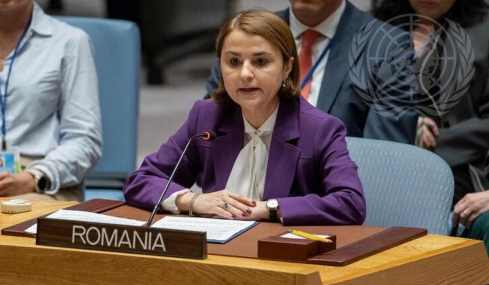 luminita odobescu ministrul afacerilor externe la onu