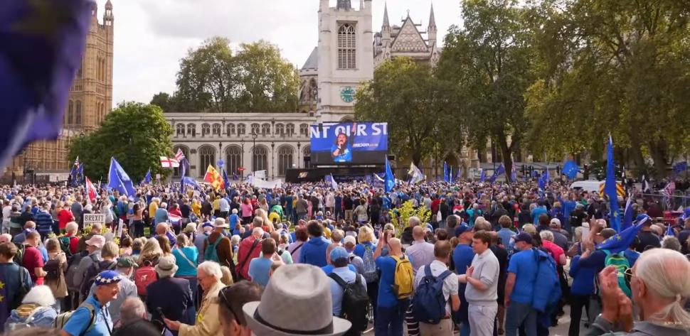 Sustinatori UE la un protest la Londra