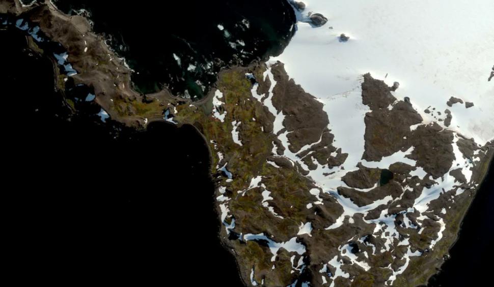 antarctica verde satelit