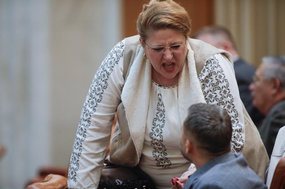 diana sosoaca urla la un cetatean care sta in banca la parlament