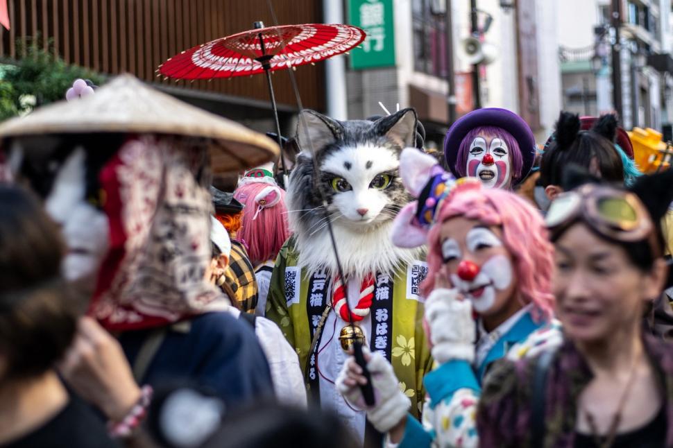 festivalul pisicilor in japonia