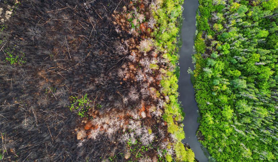 incendiu vegetatie schimbari climatice incalzirea globala dezastre naturale