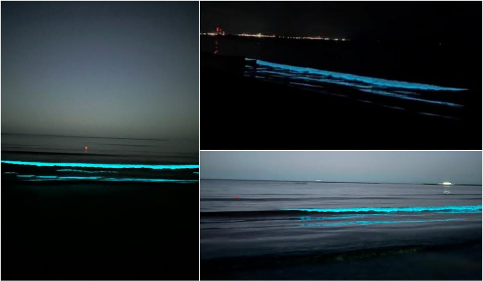 fenomen bioluminiscenta marea neagra constanta