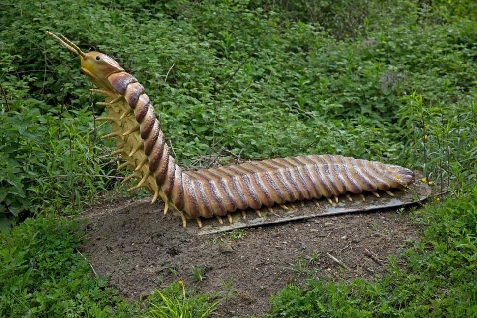 Model care infatisează Arthropleura la un parc tematic cu dinozauri din Germania