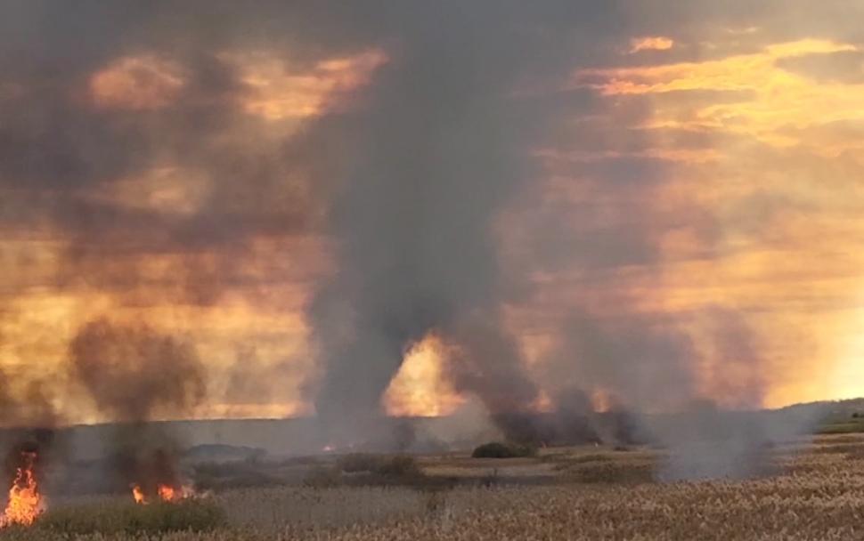 incendiu in delta neajlovului