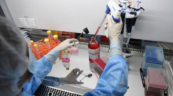 Sursa pandemiei de COVID, găsită de OMS după ce a căutat-o prin China câteva luni