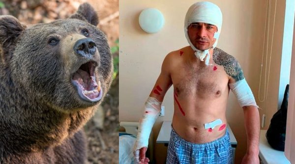 Un bărbat s-a salvat din colții unui urs după ce a făcut pe 'mortul' 