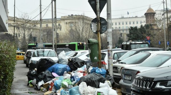 Sectorul 1 are cel mai mic tarif de salubrizare din București. Locuitorii plătesc 2,40 lei pe lună pentru gunoi