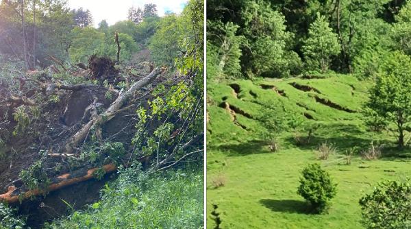 Zeci de hectare de pădure şi păşune au fost afectate de o alunecare masivă de teren în Buzău