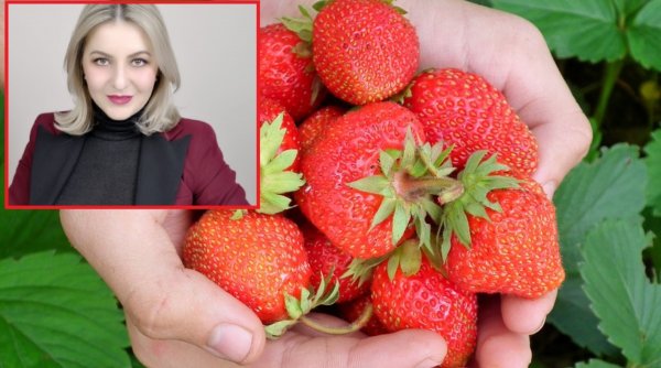 Alertă privind căpșunile, după o anchetă făcută de Antena 3. Medic: Efectele fungicidelor din acestea sunt dezastruoase